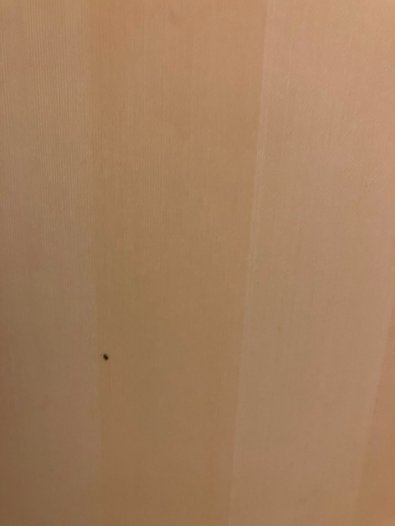 小美洲酒店-怀俄明-客卧