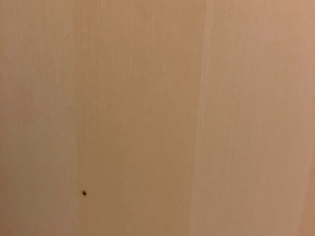 Little America Hotel - Wyoming主图