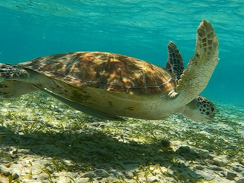 Triton Beach Hotel & Spa主图