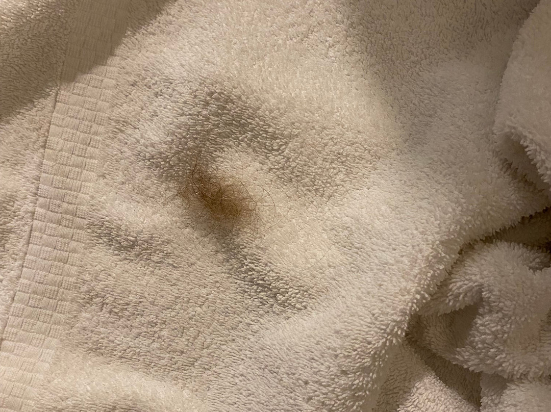 Residence Inn by Marriott Boston Logan Airport/Chelsea主图