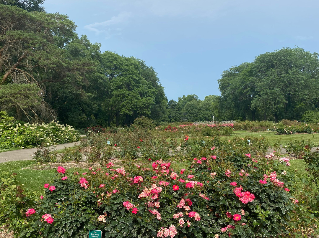 Whetstone Park / Park of Roses-哥伦布必去景点