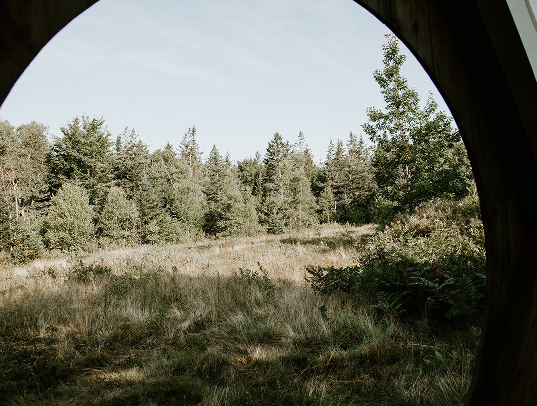 Smithereen Farm Blueberry Land Camping