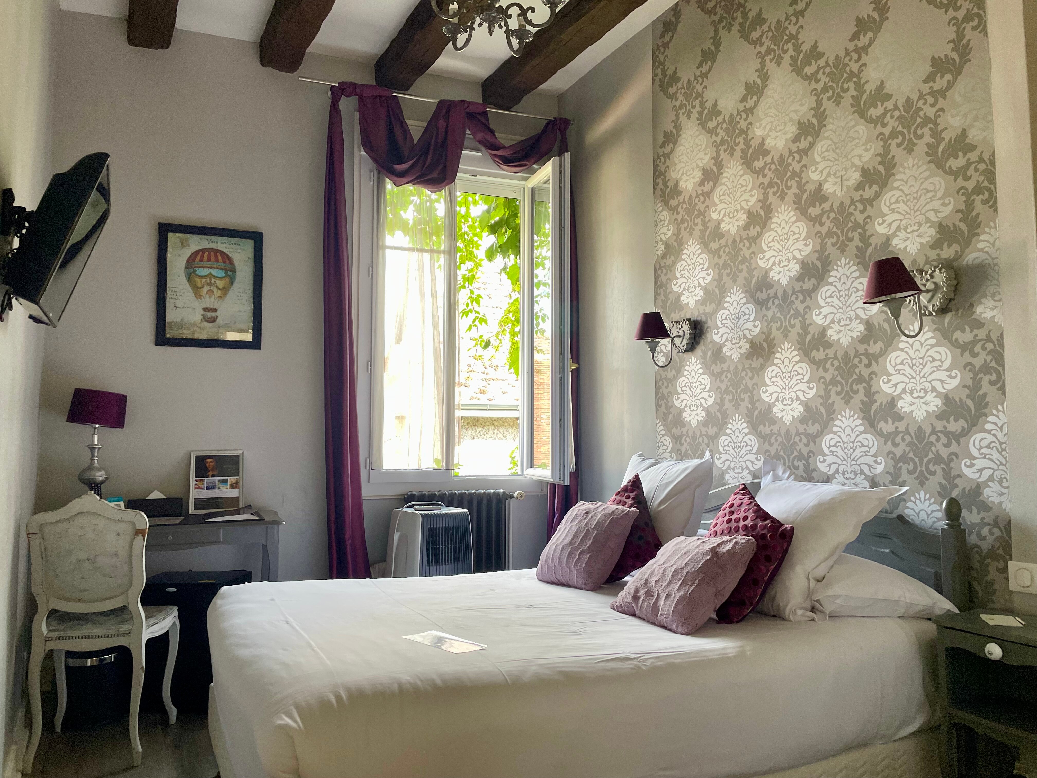 Logis Hôtel le Cheval Blanc-客卧