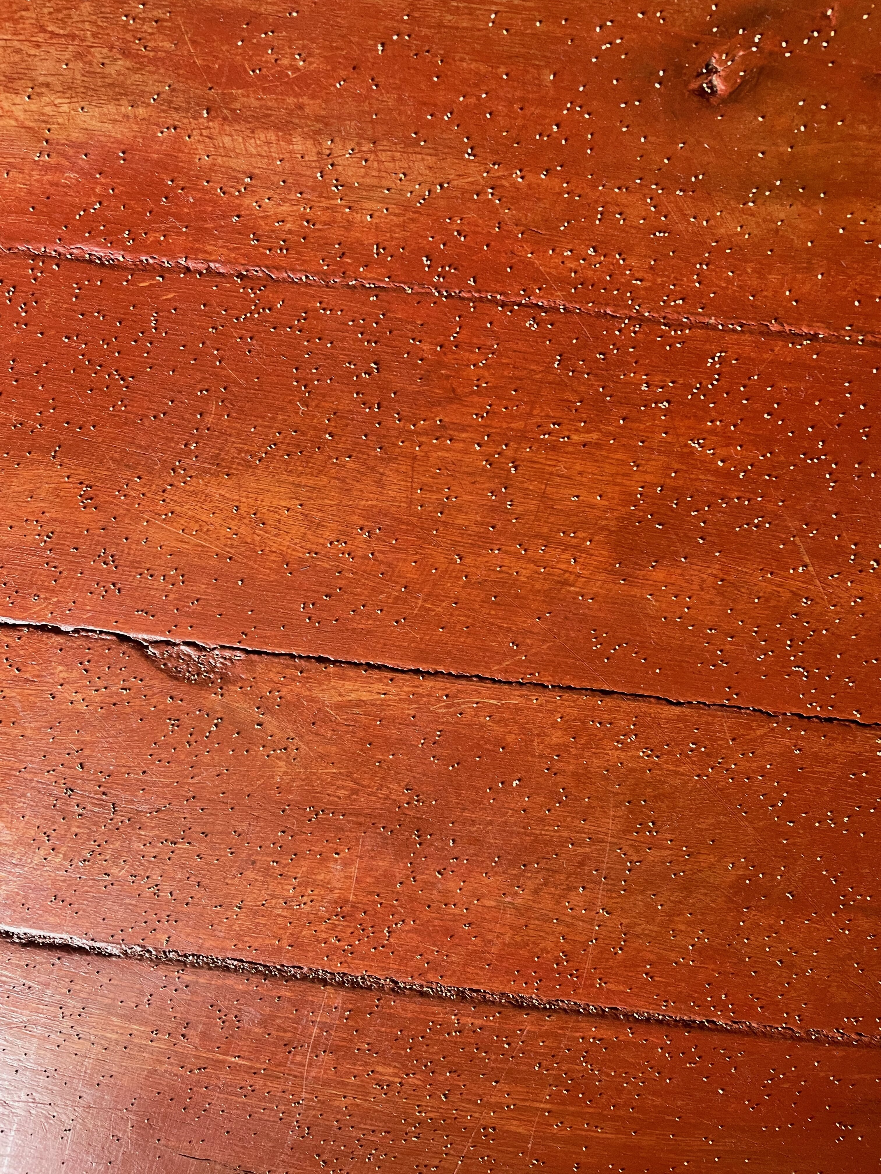 Karibotel Ranomafana-客卧