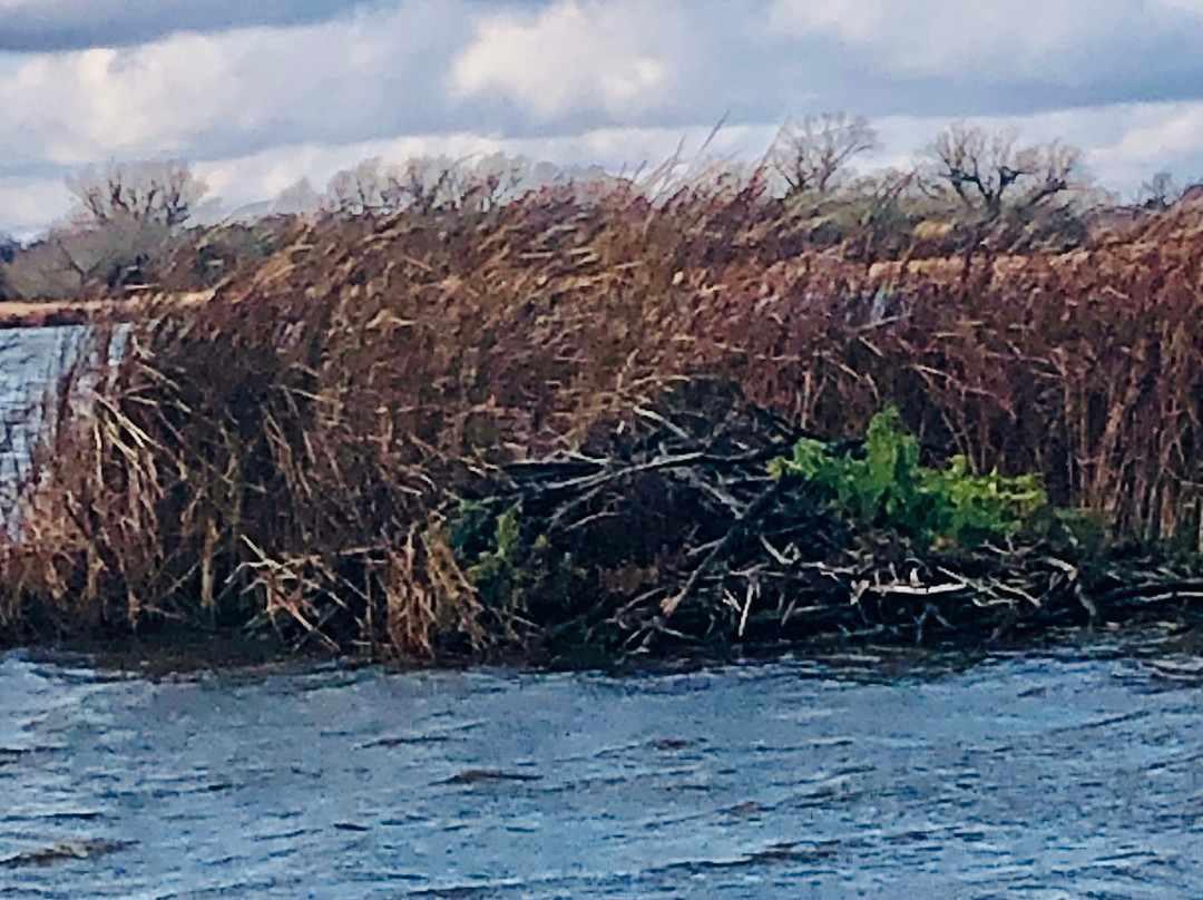 Blue Heron Landing-Horicon必去景点