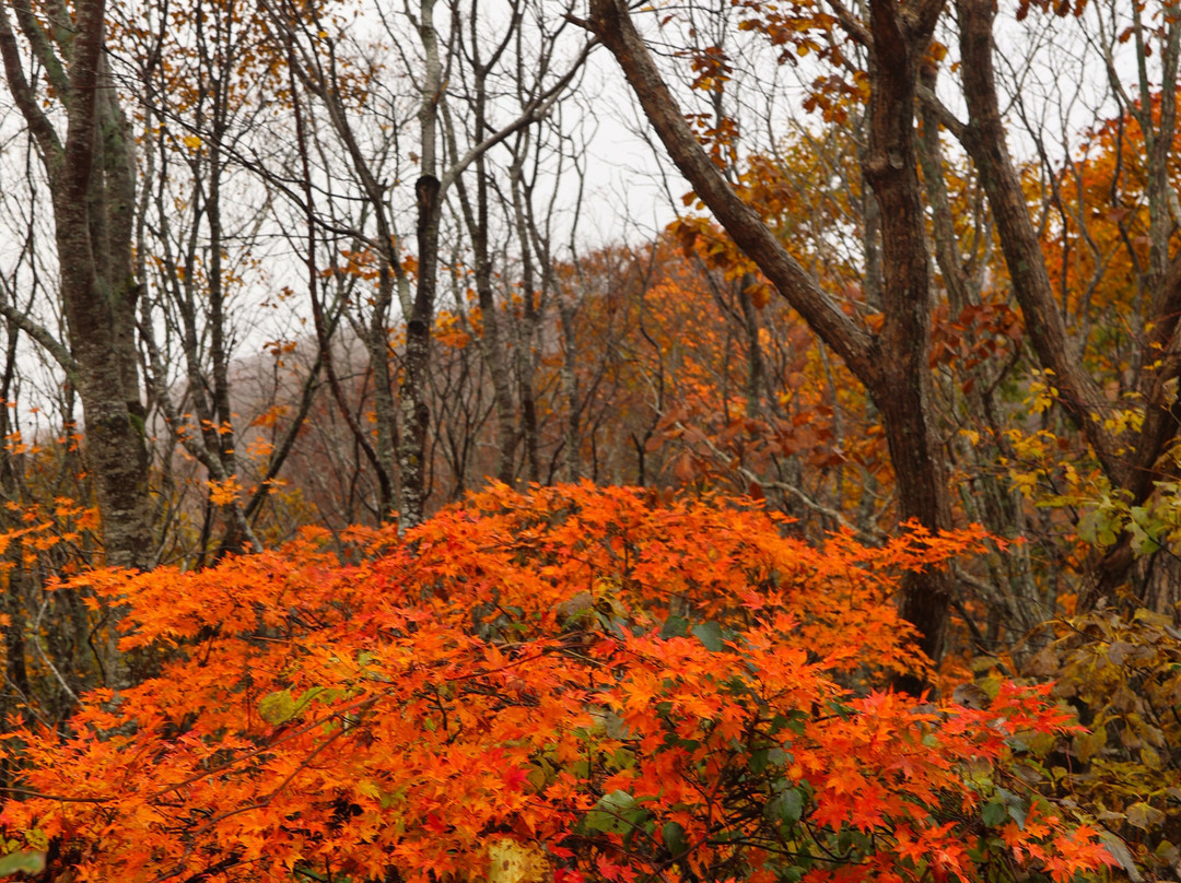 Mt.Bandai Gold Line-盘梯町必去景点