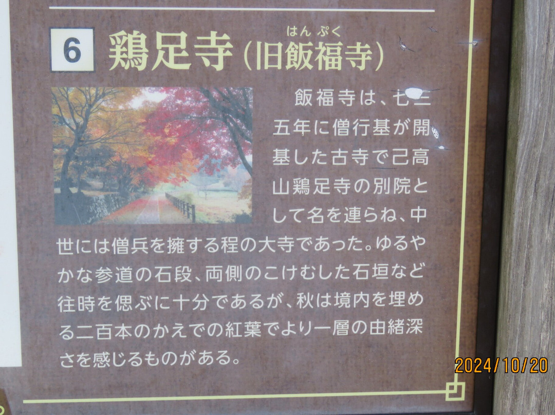 Keisoku-ji Temple-长滨市必去景点