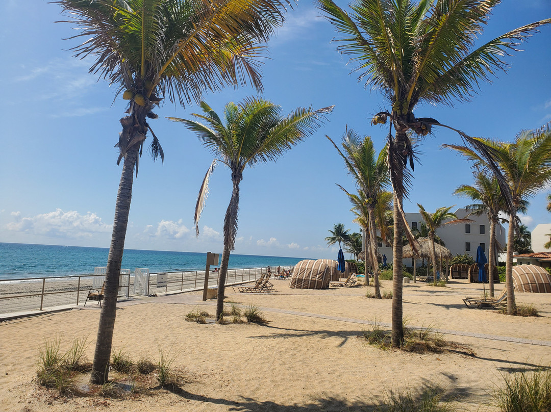 Royal Flamingo主图