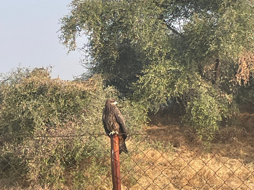 Jorbeer Conservation Reserve-碧卡内必去景点
