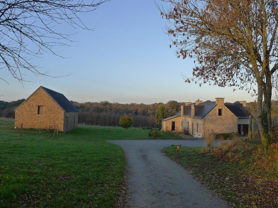 Le Nid D'hirondelles