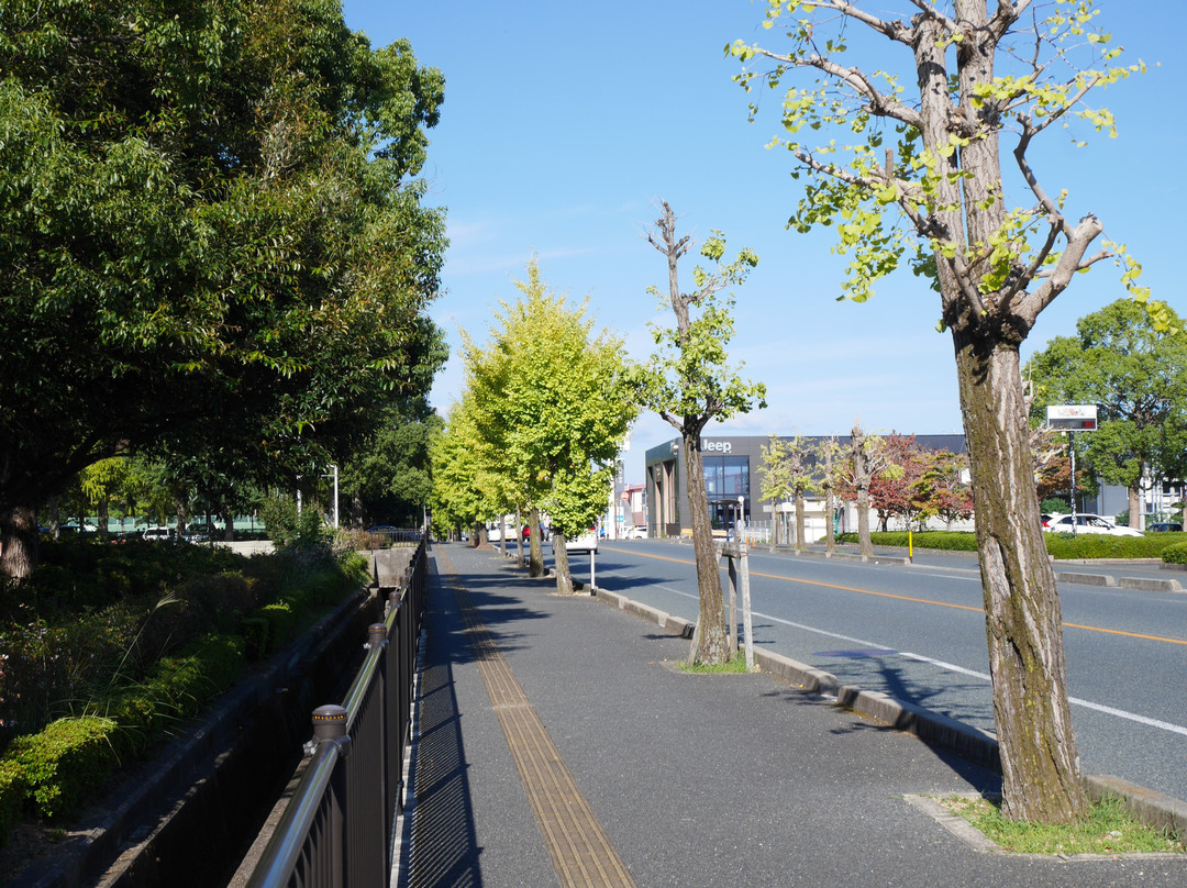Ishin One Hundres Year Memeorial Park景点图片