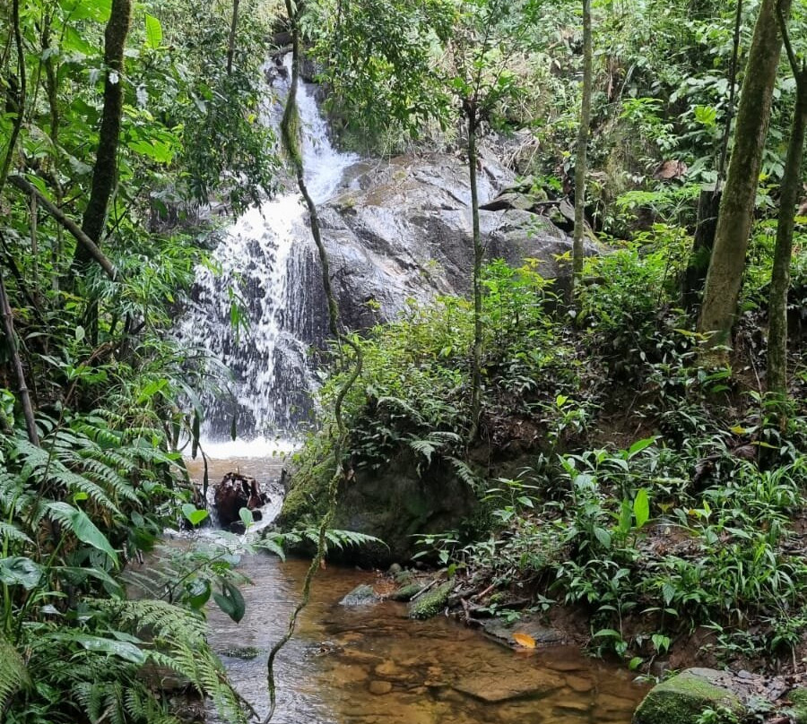 Sítio Matão-圣安东尼奥杜皮尼亚尔必去景点