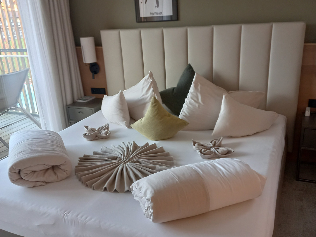 Das Hohe Salve Sportresort主图