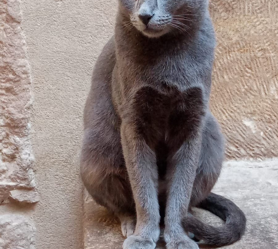 ُEgyptalia-赫尔格达必去景点