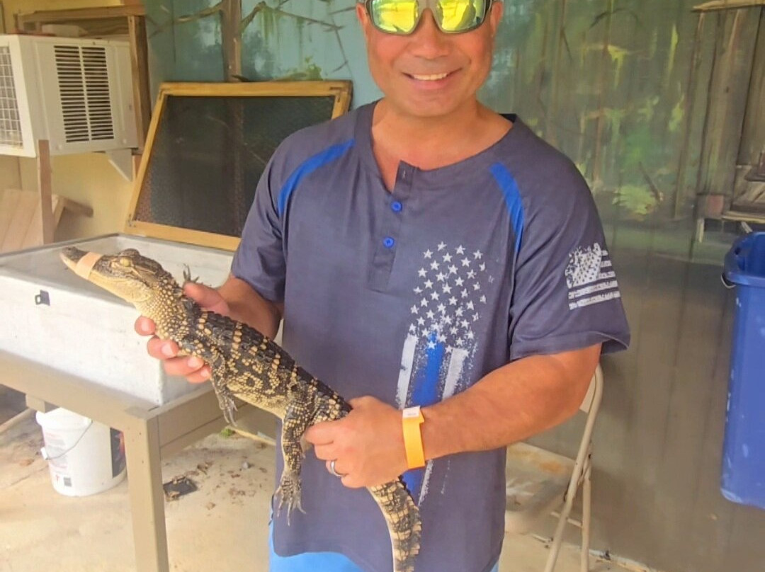 Gulf Coast Gator Ranch & Airboat Swamp Tours景点图片