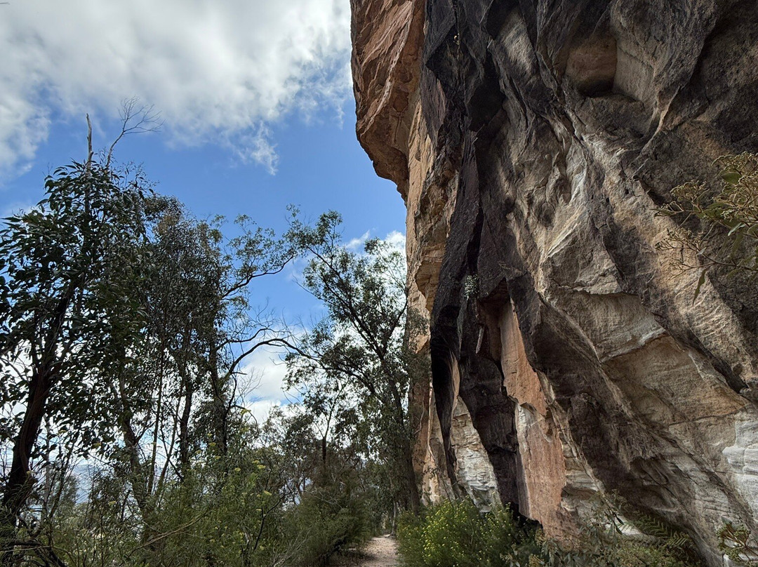 Glow Worm Tunnel-利特高必去景点