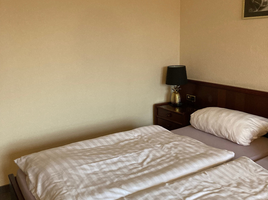 Hotel Am Hasengarten主图