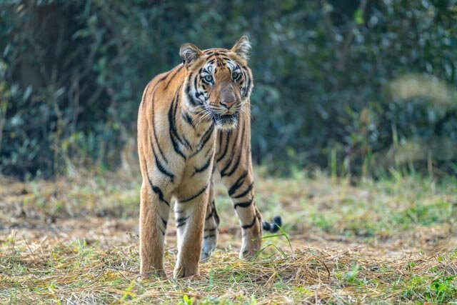 Excellent Stay At Mall主图