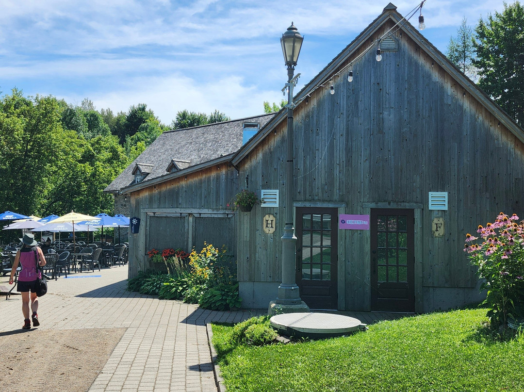 Le Moulin Michel景点图片