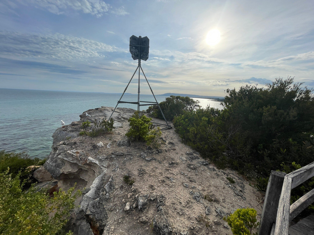 White Cliffs Lookout Rye景点图片