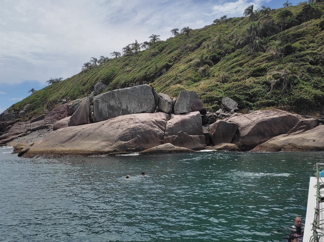 Água Viva Mergulho-弗洛里亚诺波利斯必去景点