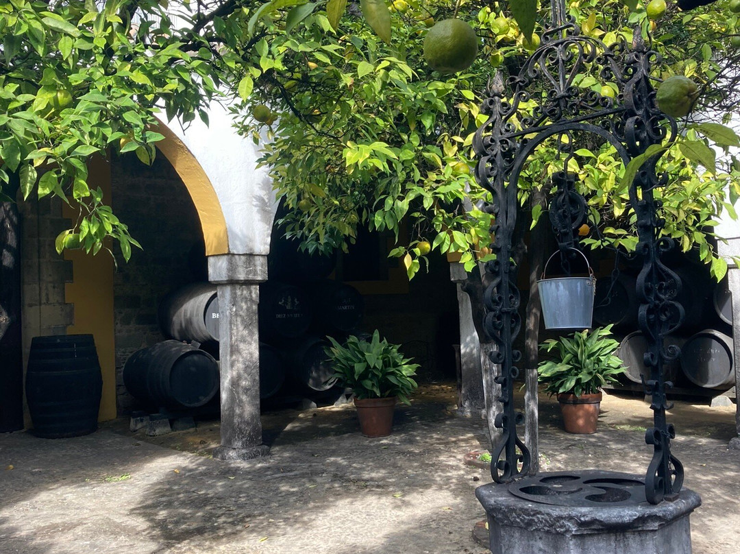 Bodegas y viñedos Díez Mérito-赫雷斯德拉弗隆特拉必去景点