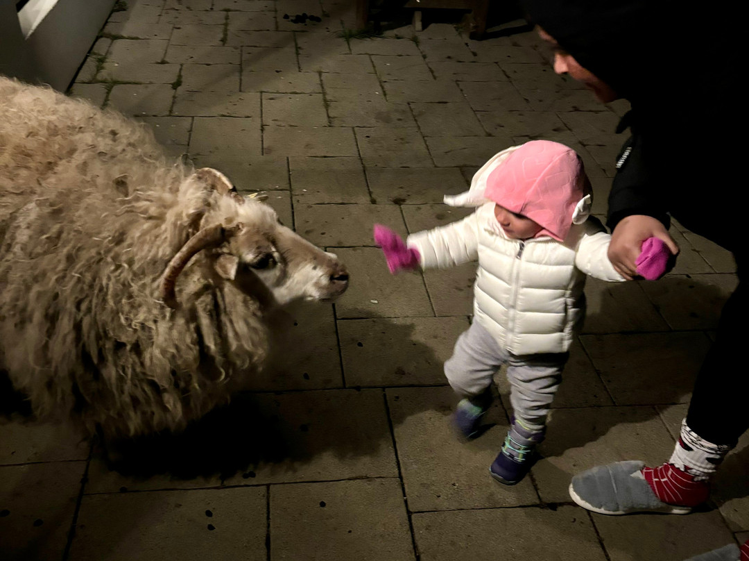 Bjarteyjarsandur-雷克雅未克必去景点
