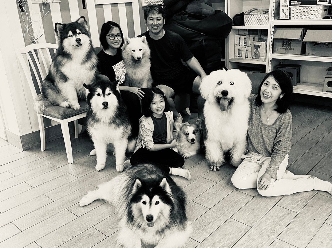 Woof Station-马六甲必去景点