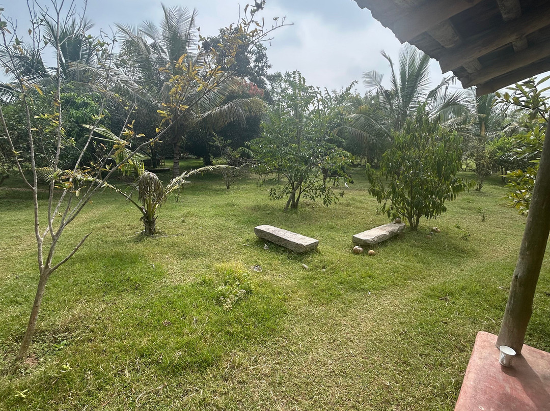 Anahata Healing Arts Center主图