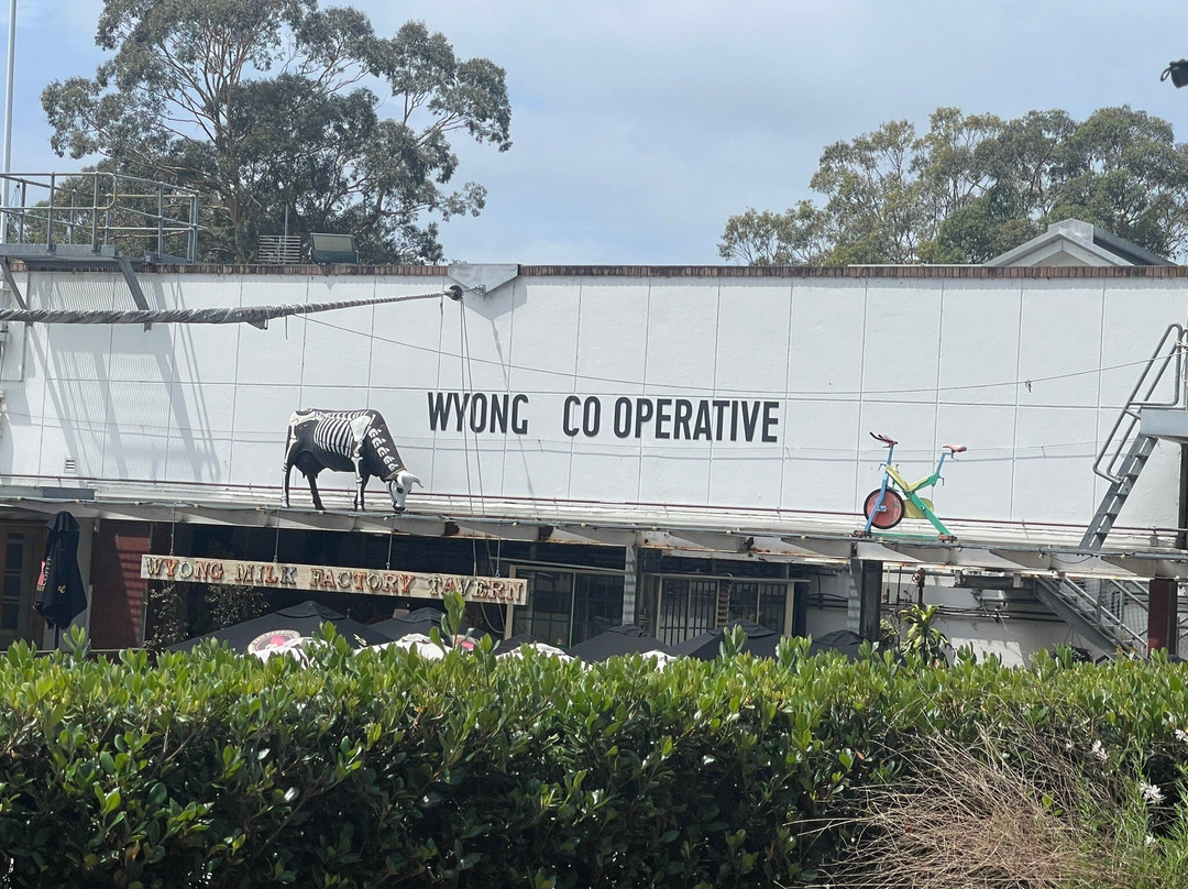 The Wyong Milk Factory-Wyong必去景点