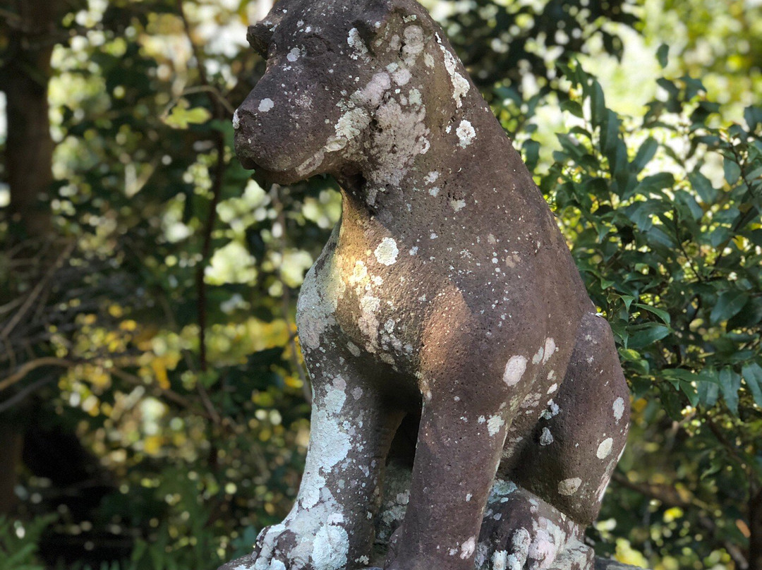 Tamasaki Shrine-夷隅市必去景点