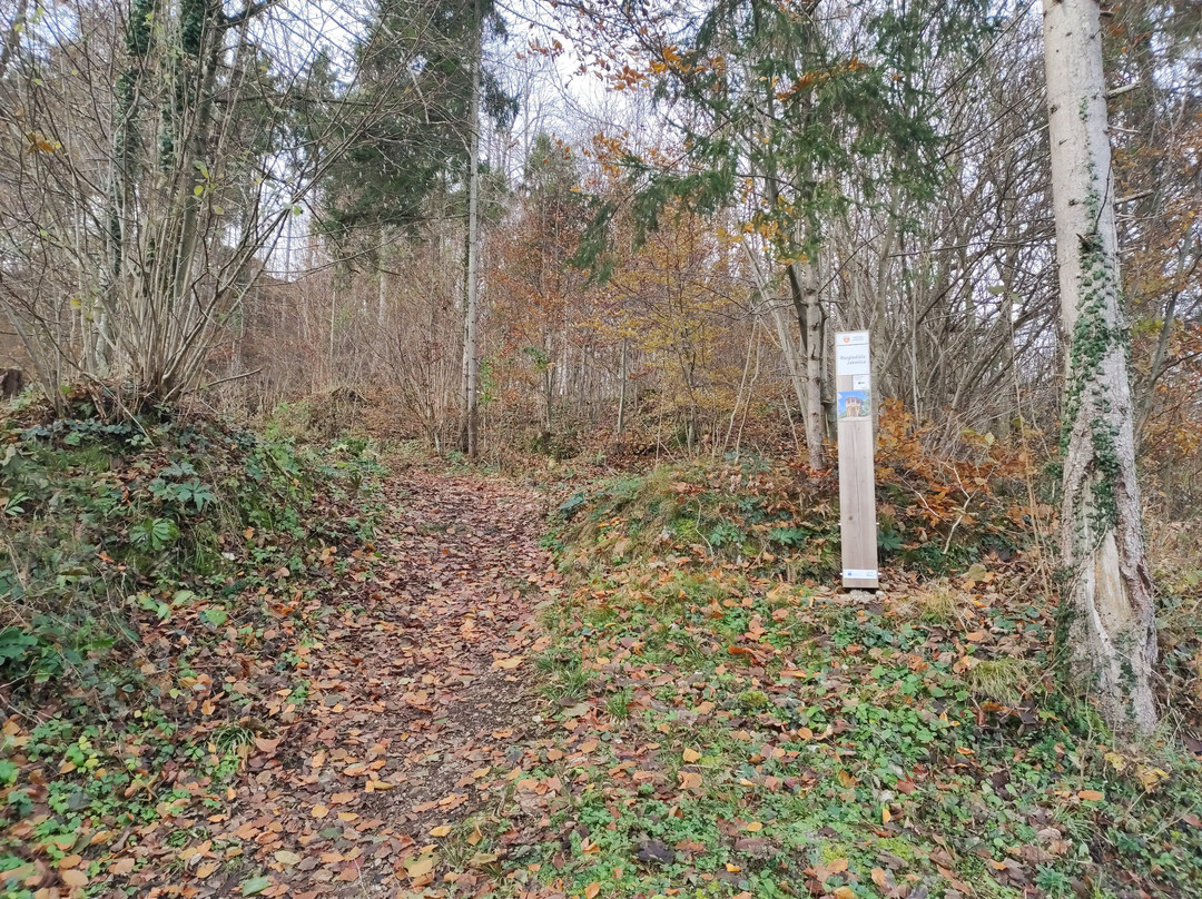 Jakovica Lookout-Logatec必去景点