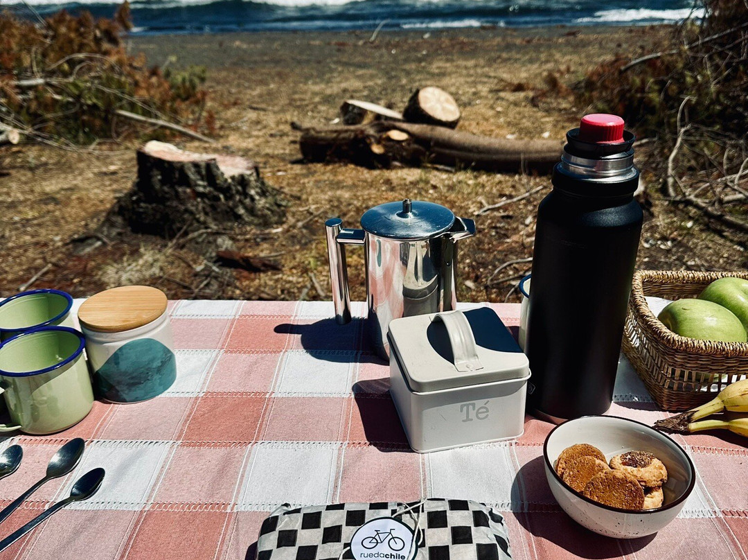 Rueda Chile-Ensenada必去景点