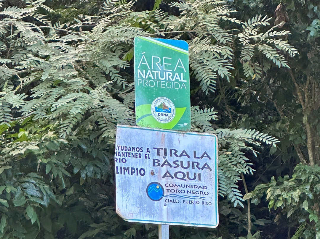 Toro Negro State Forest-波多黎各必去景点