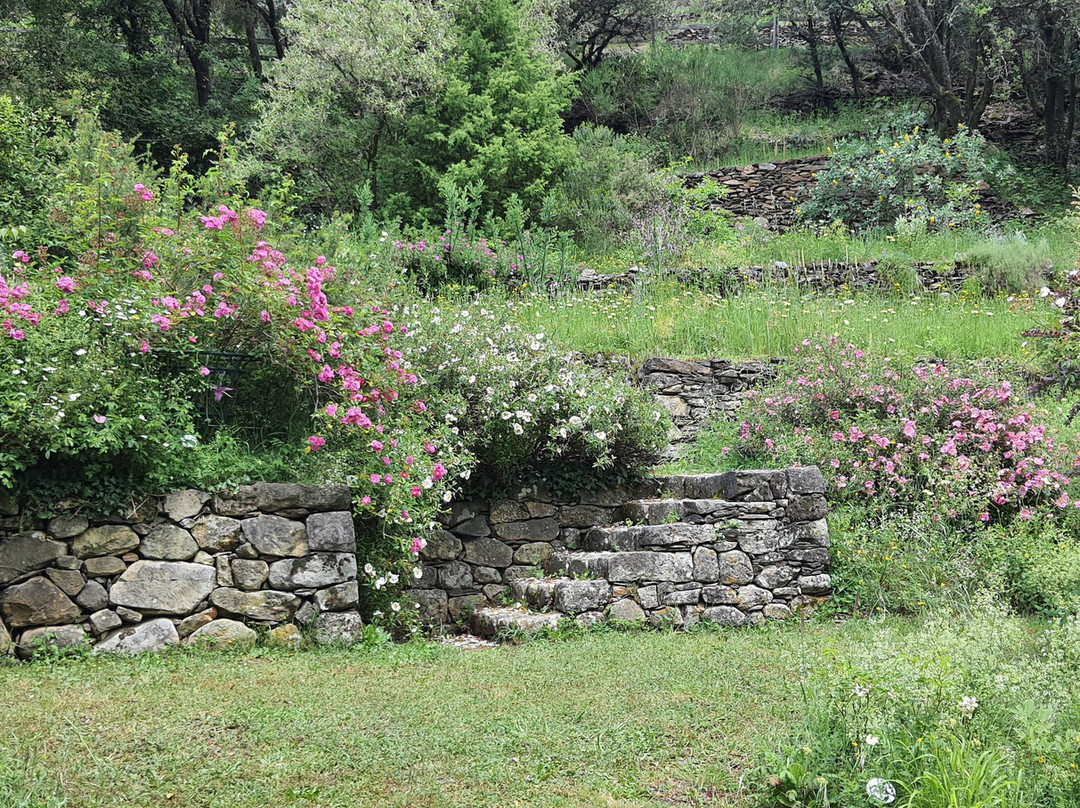 Roseraie De Berty Tauriers-Tauriers必去景点