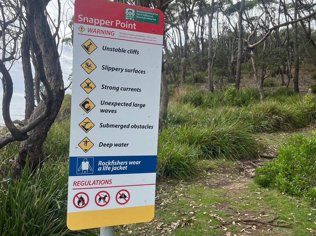 Snapper Point Lookout-Kioloa必去景点
