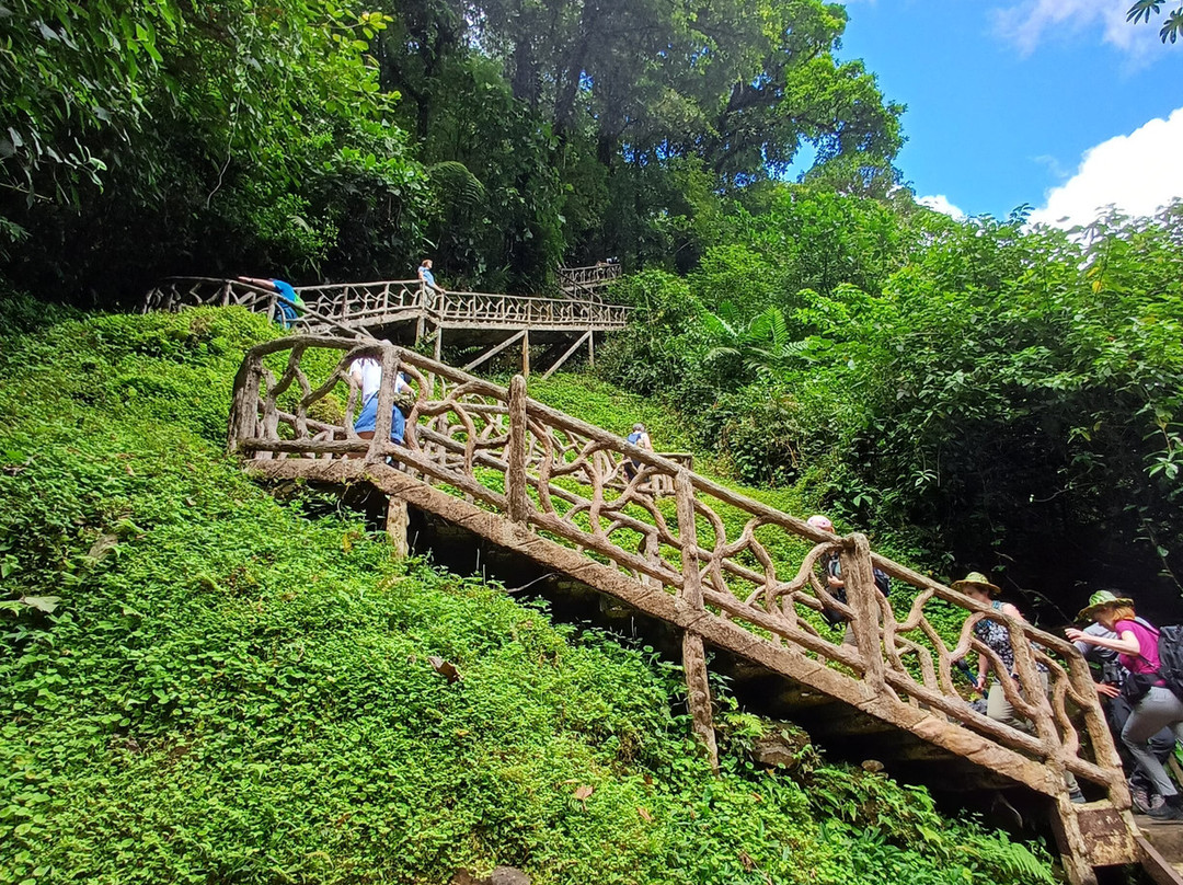 Parque National Volcan Tenorio景点图片
