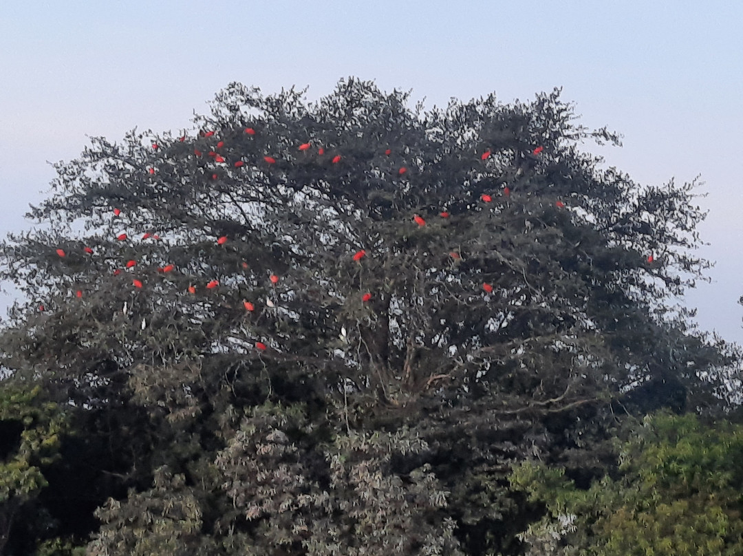 El Encanto de Guanapalo Reserva Natural景点图片