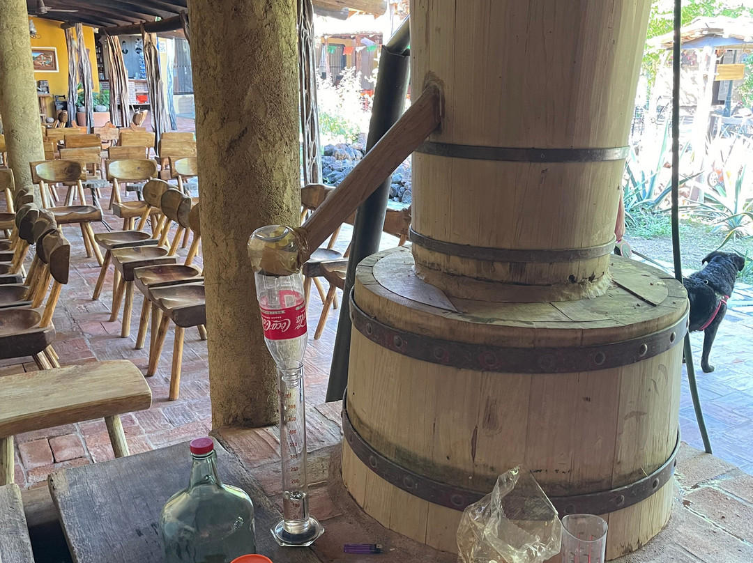 Tequila mama lucia , Nuevo Nayarit-新瓦雅塔必去景点