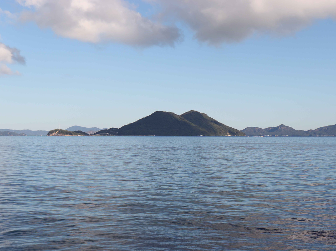 Shikoku Ferry景点图片