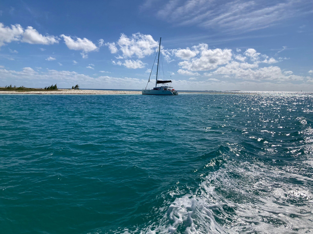 Marina Marlin Cayo Largo景点图片