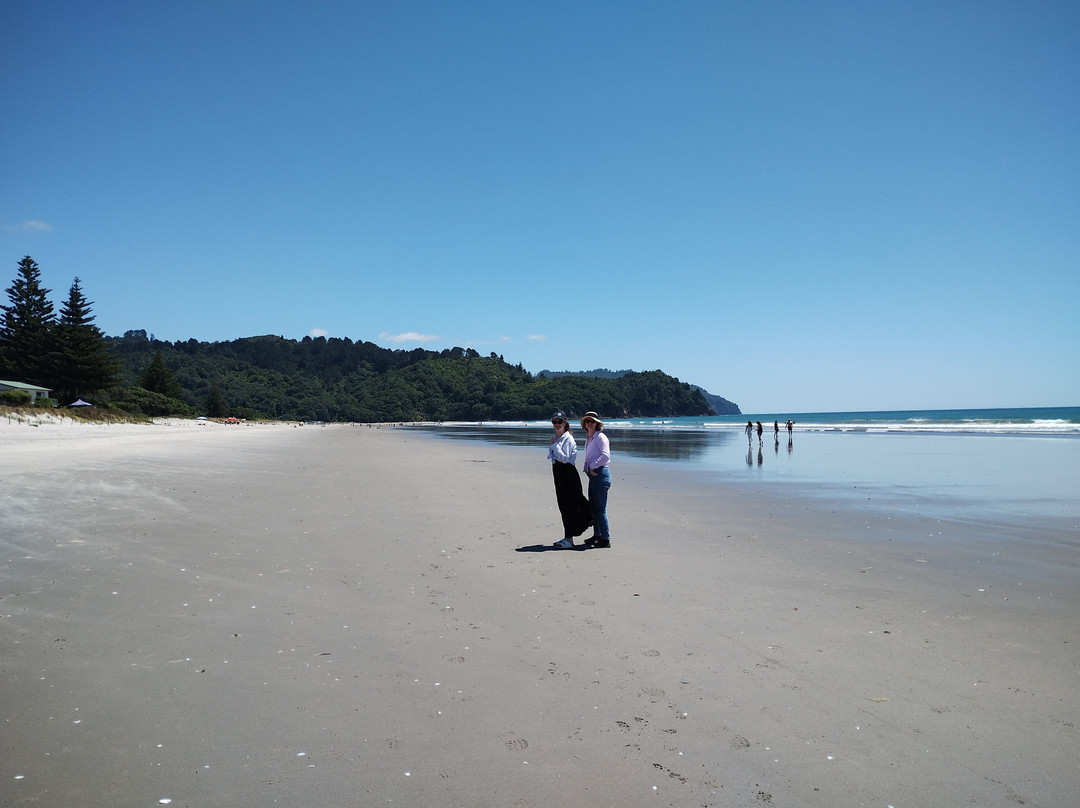 Waihi Beach景点图片