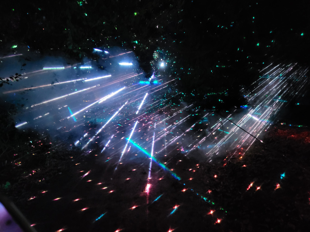 Bedgebury National Pinetum And Forest-Goudhurst必去景点