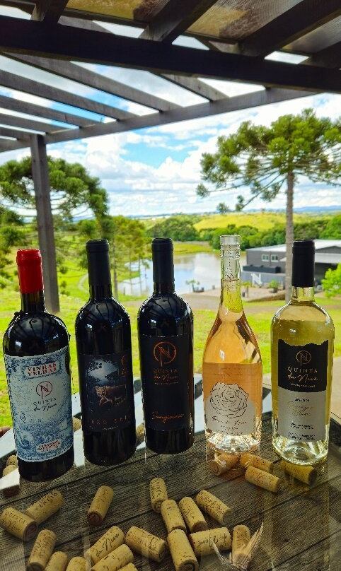 Vinicola Quinta Da Neve景点图片