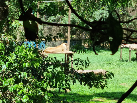 Gorilla Page Safaris-恩德培必去景点