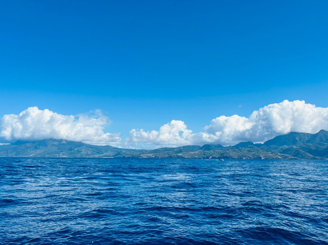 Captain Toch-Le Carbet必去景点