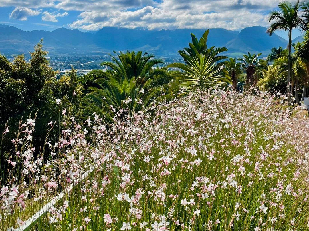 Perle-du-Cap Private Suite Estate主图