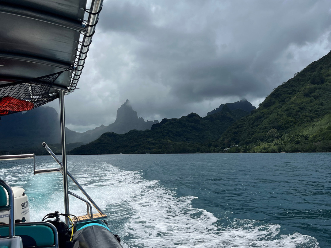 Moorea Underwater Experience-Temae必去景点