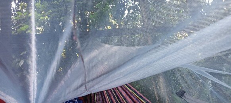 Amazon Tour Connections-莱蒂西亚必去景点