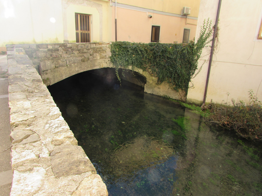 Vipava River Springs景点图片